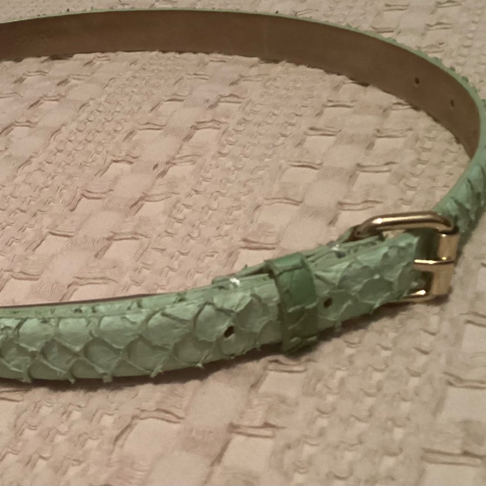 Ann Taylor Leather Texture Belt Small Green